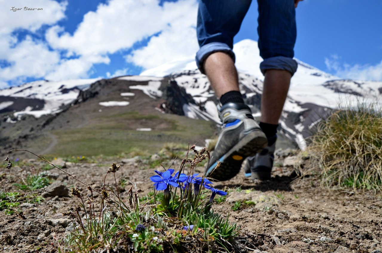 HOW TO CHOOSE THE FOOTWEAR FOR HIKING?